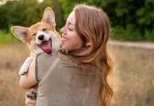 dog registration renewals