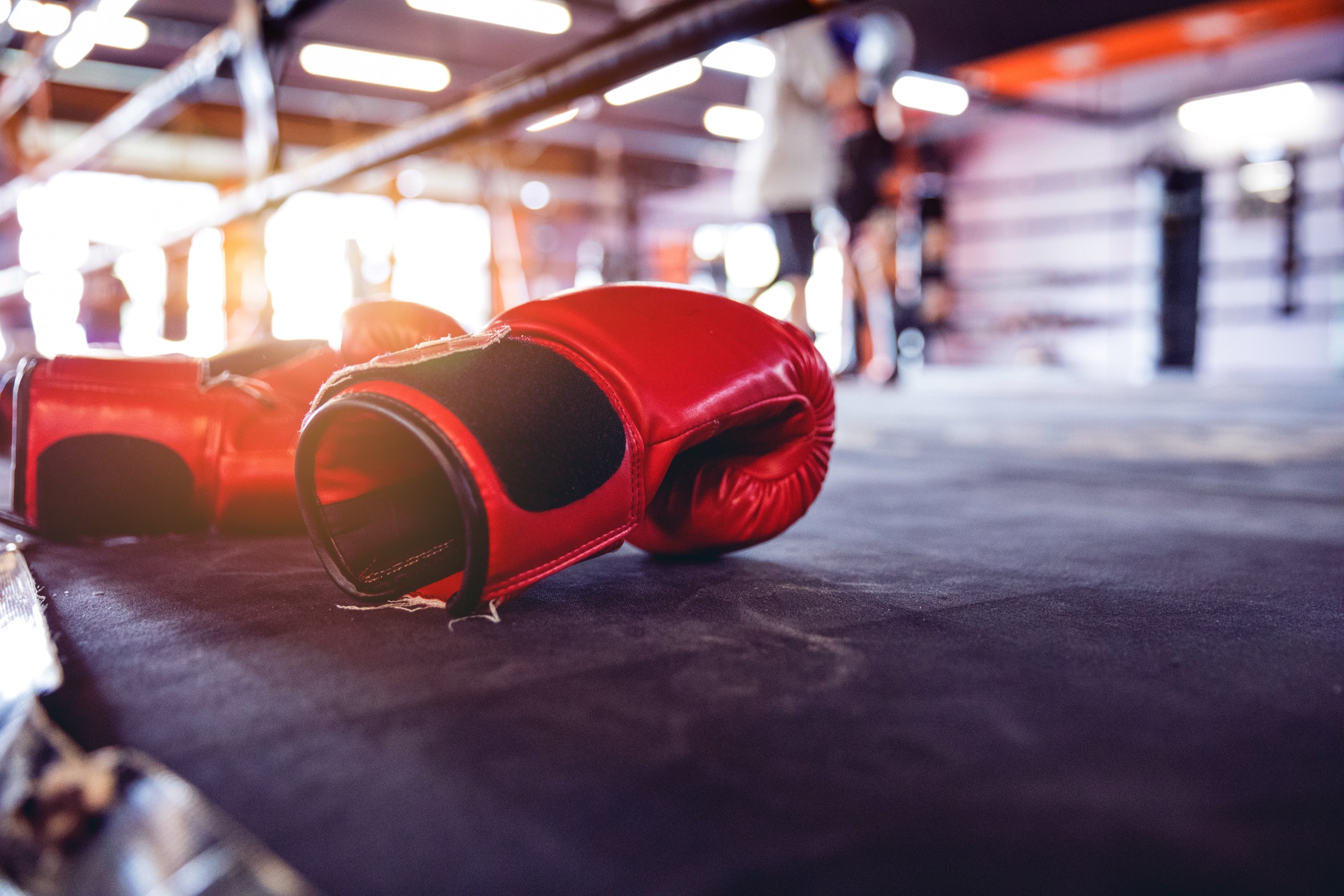 Mighty Mitts Boxing provides a free mentoring and non-contact boxing youth program catering to children aged 7 to 11 years old.